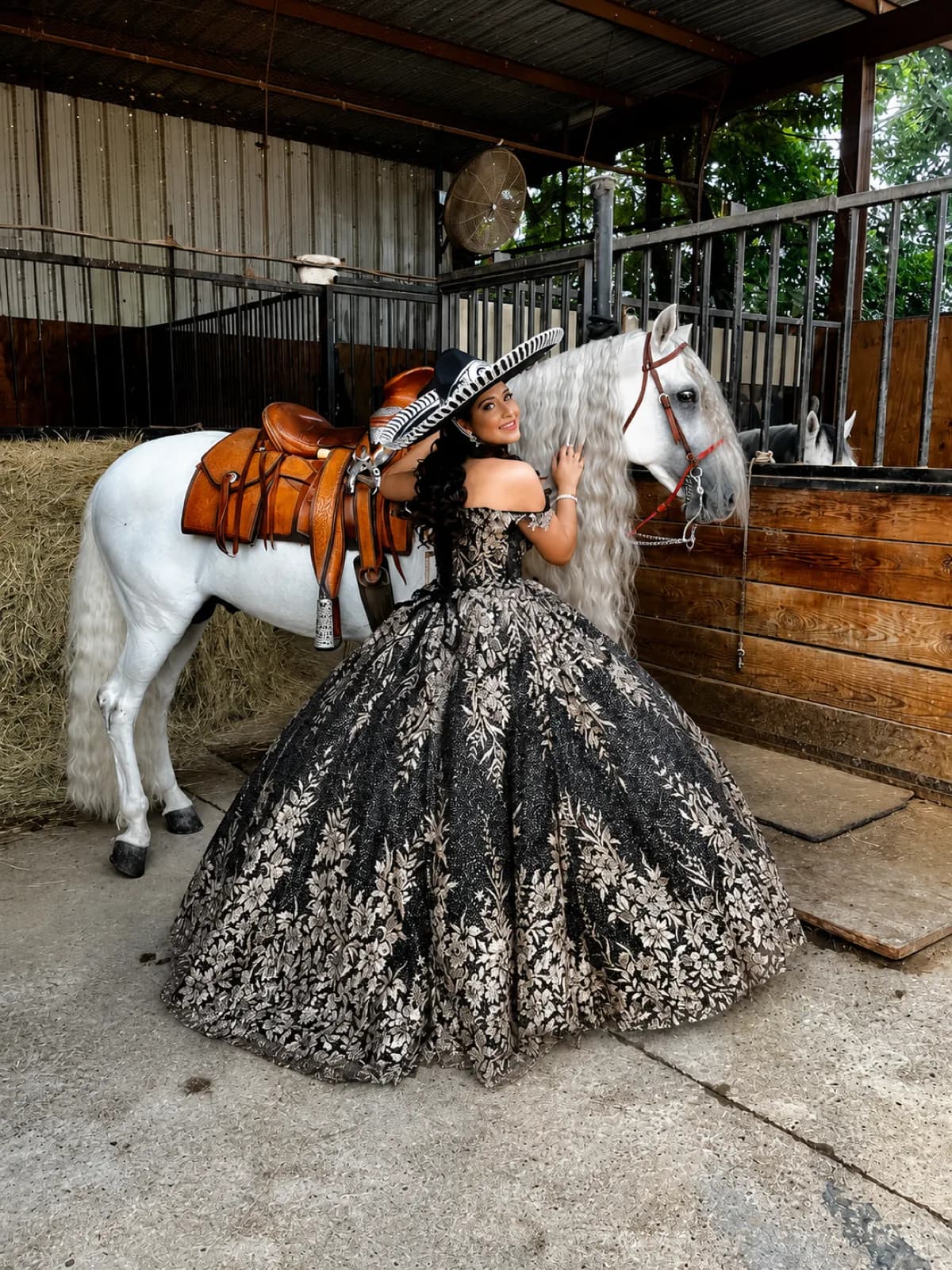 Horses